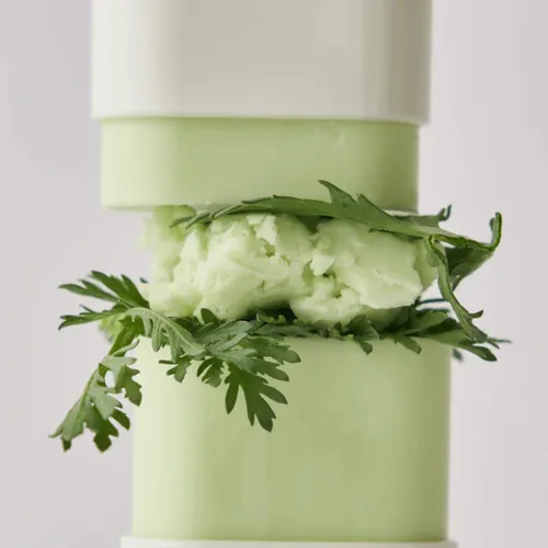 ביוטי אוף ג'וסון סטיק הגנה מאט - Beauty of Joseon Matte Sun Stick: Mugwort + Camelia SPF 50 (18g)